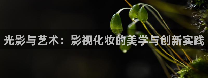 99视频精品视频在线：光影与艺术：影视化妆的美学与创新实践