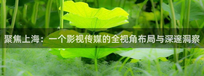 99视频免费网站：聚焦上海：一个影视传媒的全视角布局与深邃洞察