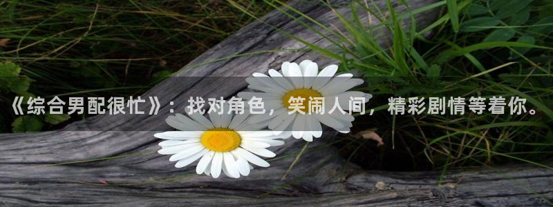 噜噜视频99视频：《综合男配很忙》：找对角色，笑闹人间，精彩剧情等着你。