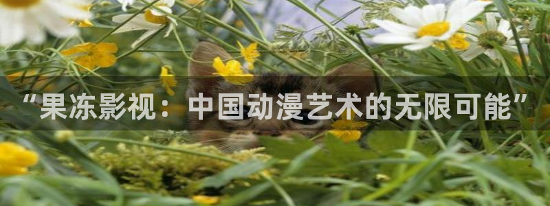 视频久久99视频：“果冻影视：中国动漫艺术的无限可能”