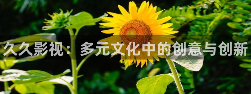99视频这里只要精品：久久影视：多元文化中的创意与创新