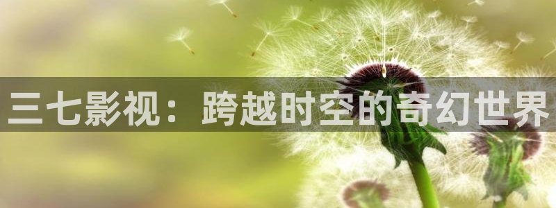 99视频精品15