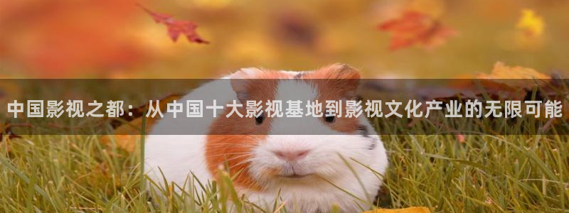 97视频99视频：中国影视之都：从中国十大影视基地到影视文化产业的无限可能
